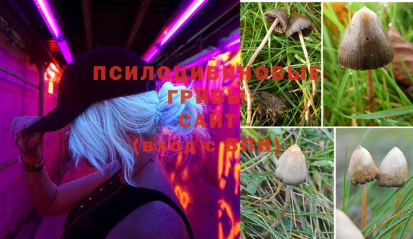 мяу мяу мука Балахна