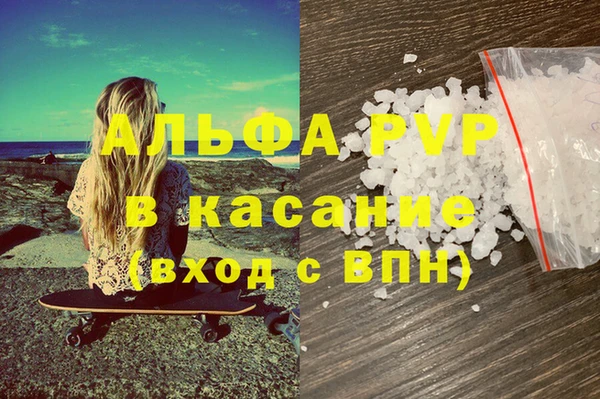 прущие грибы Россошь