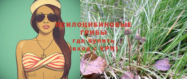 бошки Баксан
