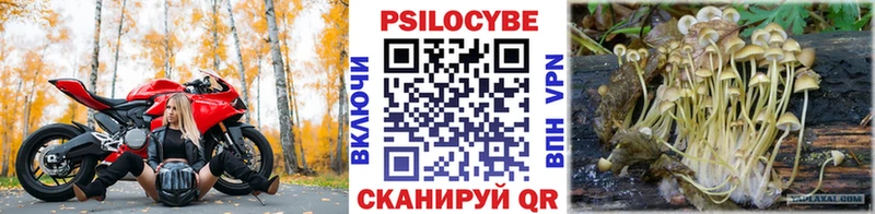 Псилоцибиновые грибы мицелий  Краснознаменск 